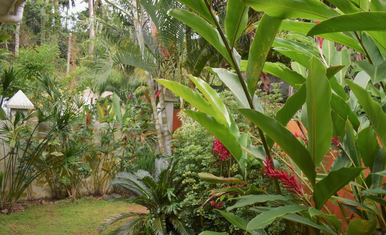 Sunbird Bungalow Anse Boileau Екстер'єр фото