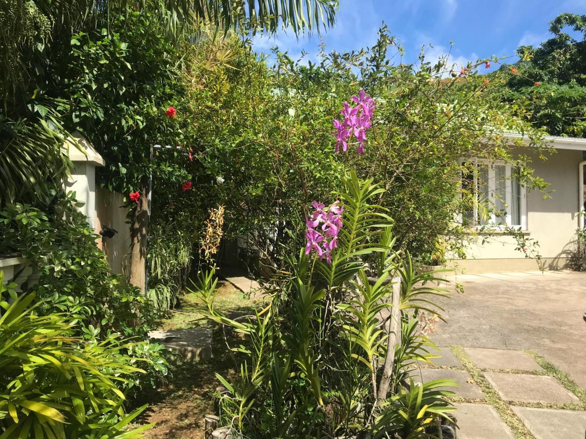 Sunbird Bungalow Anse Boileau Екстер'єр фото