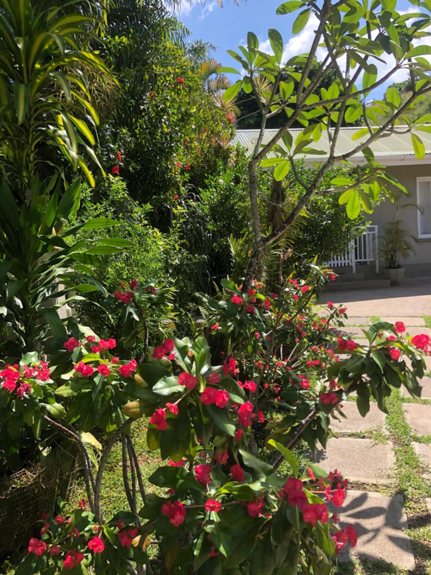 Sunbird Bungalow Anse Boileau Екстер'єр фото